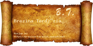 Brezina Terézia névjegykártya