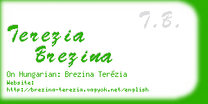 terezia brezina business card
