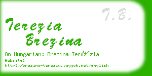 terezia brezina business card